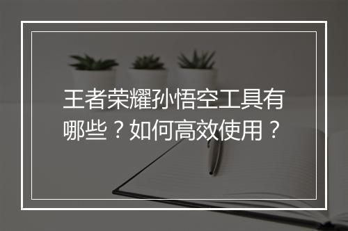 王者荣耀孙悟空工具有哪些？如何高效使用？
