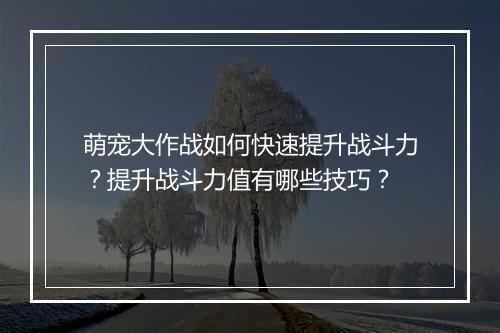 萌宠大作战如何快速提升战斗力？提升战斗力值有哪些技巧？