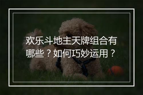 欢乐斗地主天牌组合有哪些？如何巧妙运用？