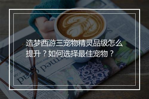 造梦西游三宠物精灵品级怎么提升？如何选择最佳宠物？