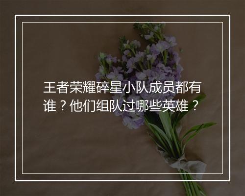 王者荣耀碎星小队成员都有谁？他们组队过哪些英雄？