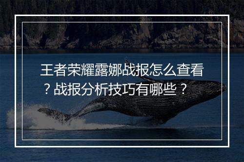 王者荣耀露娜战报怎么查看？战报分析技巧有哪些？