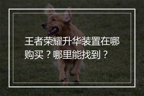 王者荣耀升华装置在哪购买？哪里能找到？