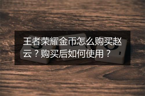 王者荣耀金币怎么购买赵云？购买后如何使用？