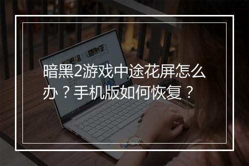 暗黑2游戏中途花屏怎么办？手机版如何恢复？