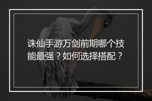 诛仙手游万剑前期哪个技能最强？如何选择搭配？