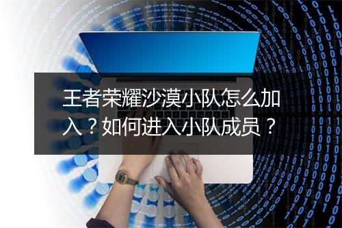 王者荣耀沙漠小队怎么加入？如何进入小队成员？