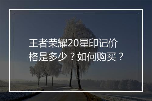 王者荣耀20星印记价格是多少？如何购买？