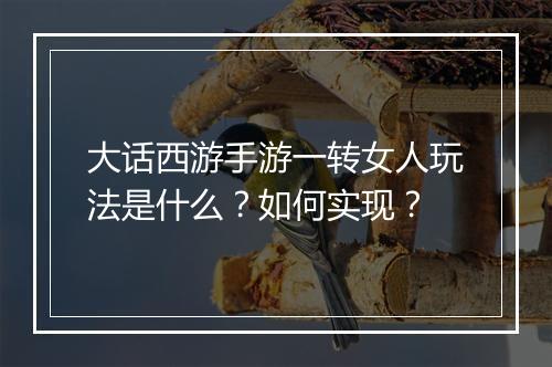 大话西游手游一转女人玩法是什么？如何实现？