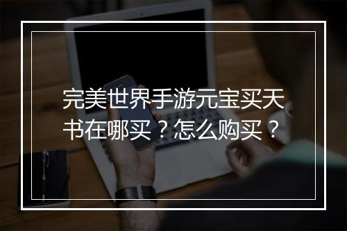 完美世界手游元宝买天书在哪买？怎么购买？