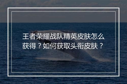 王者荣耀战队精英皮肤怎么获得？如何获取头衔皮肤？