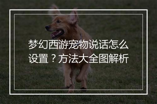 梦幻西游宠物说话怎么设置？方法大全图解析
