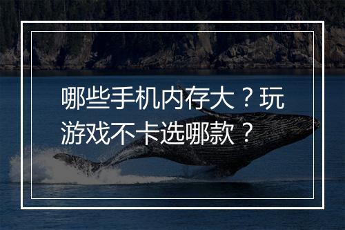 哪些手机内存大？玩游戏不卡选哪款？