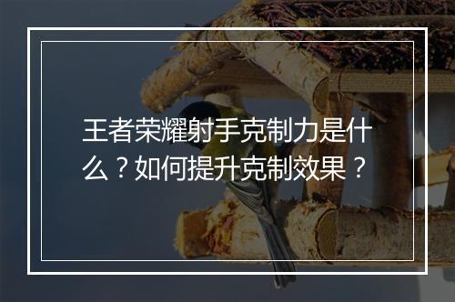 王者荣耀射手克制力是什么？如何提升克制效果？