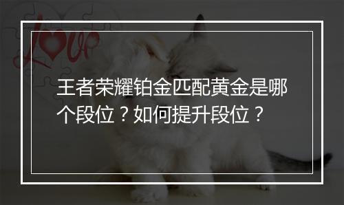 王者荣耀铂金匹配黄金是哪个段位？如何提升段位？