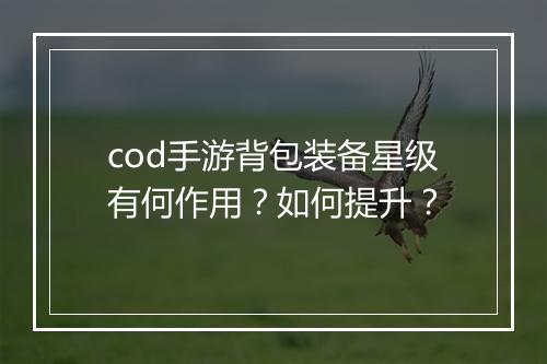 cod手游背包装备星级有何作用？如何提升？