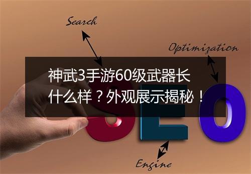 神武3手游60级武器长什么样？外观展示揭秘！
