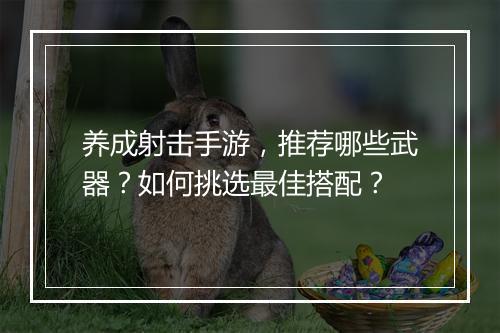养成射击手游，推荐哪些武器？如何挑选最佳搭配？