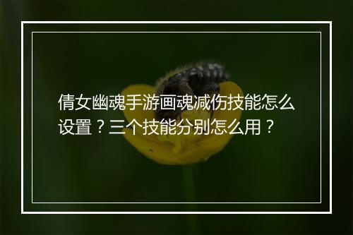 倩女幽魂手游画魂减伤技能怎么设置？三个技能分别怎么用？