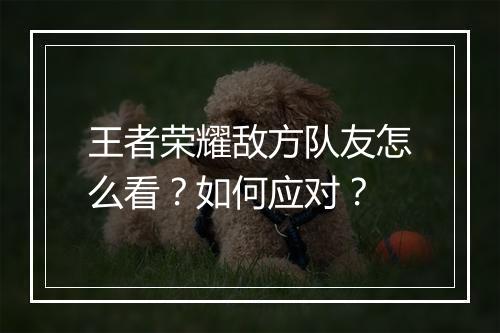 王者荣耀敌方队友怎么看？如何应对？