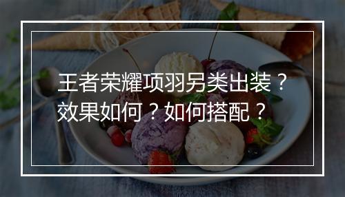 王者荣耀项羽另类出装？效果如何？如何搭配？