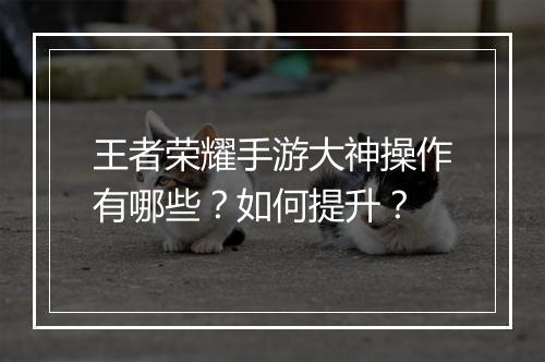 王者荣耀手游大神操作有哪些？如何提升？