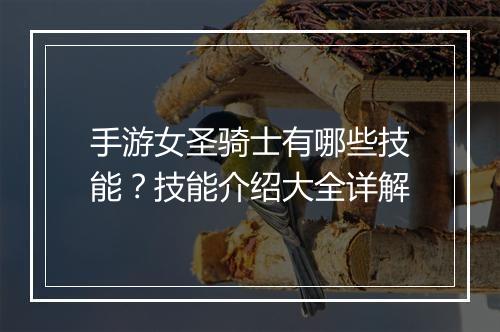 手游女圣骑士有哪些技能？技能介绍大全详解