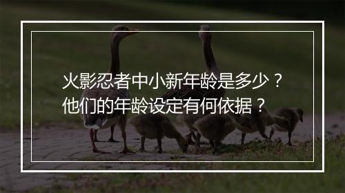 火影忍者中小新年龄是多少？他们的年龄设定有何依据？