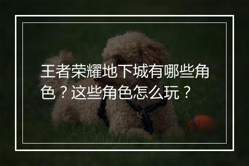 王者荣耀地下城有哪些角色？这些角色怎么玩？