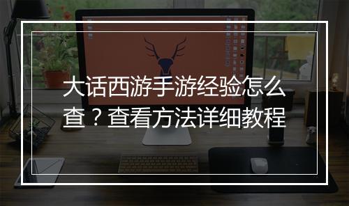 大话西游手游经验怎么查？查看方法详细教程