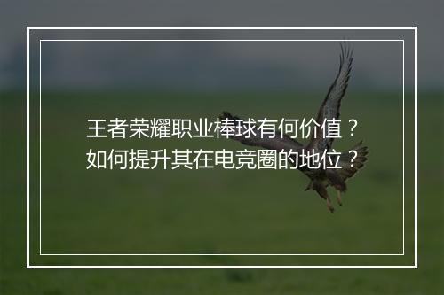 王者荣耀职业棒球有何价值？如何提升其在电竞圈的地位？