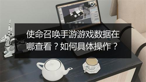 使命召唤手游游戏数据在哪查看？如何具体操作？