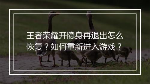 王者荣耀开隐身再退出怎么恢复？如何重新进入游戏？
