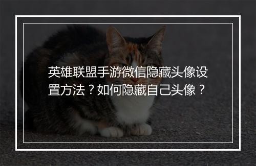 英雄联盟手游微信隐藏头像设置方法？如何隐藏自己头像？