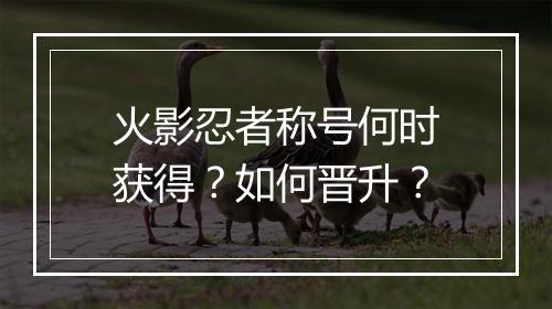 火影忍者称号何时获得？如何晋升？