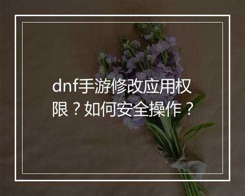 dnf手游修改应用权限？如何安全操作？