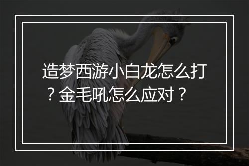 造梦西游小白龙怎么打？金毛吼怎么应对？