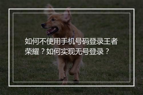 如何不使用手机号码登录王者荣耀？如何实现无号登录？