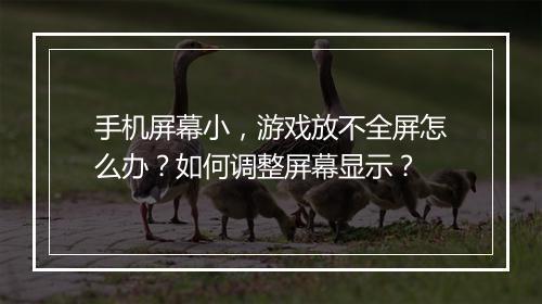 手机屏幕小，游戏放不全屏怎么办？如何调整屏幕显示？