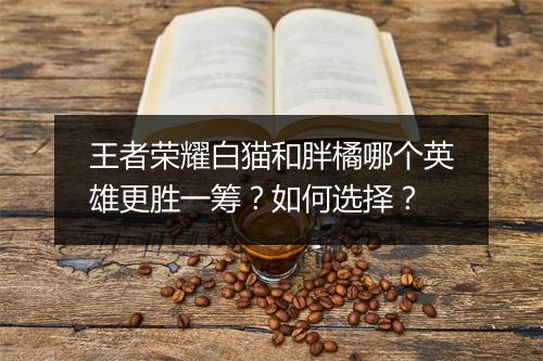 王者荣耀白猫和胖橘哪个英雄更胜一筹？如何选择？