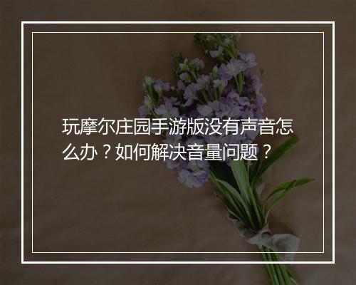玩摩尔庄园手游版没有声音怎么办?如何解决音量问题?