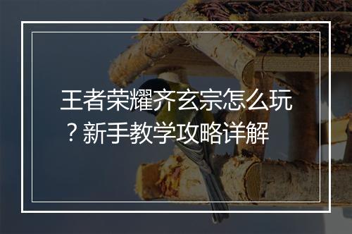 王者荣耀齐玄宗怎么玩？新手教学攻略详解