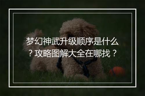 梦幻神武升级顺序是什么？攻略图解大全在哪找？