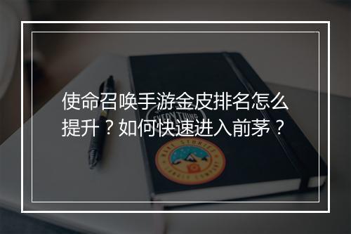 使命召唤手游金皮排名怎么提升？如何快速进入前茅？