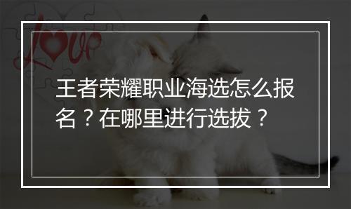王者荣耀职业海选怎么报名？在哪里进行选拔？