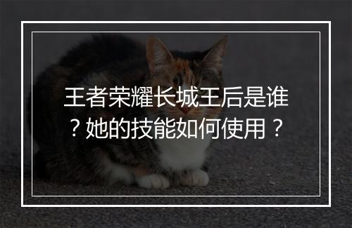 王者荣耀长城王后是谁？她的技能如何使用？