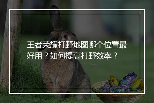 王者荣耀打野地图哪个位置最好用？如何提高打野效率？