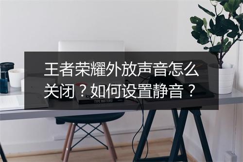 王者荣耀外放声音怎么关闭？如何设置静音？