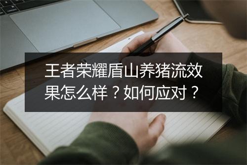 王者荣耀盾山养猪流效果怎么样？如何应对？