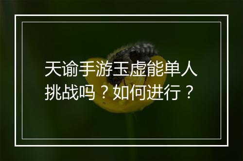 天谕手游玉虚能单人挑战吗？如何进行？